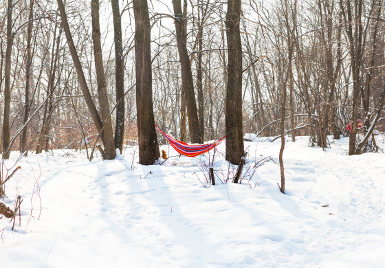 【2025年版】冬キャンプのハンモック泊｜初心者でも安心して楽しむための基本と選び方ガイド