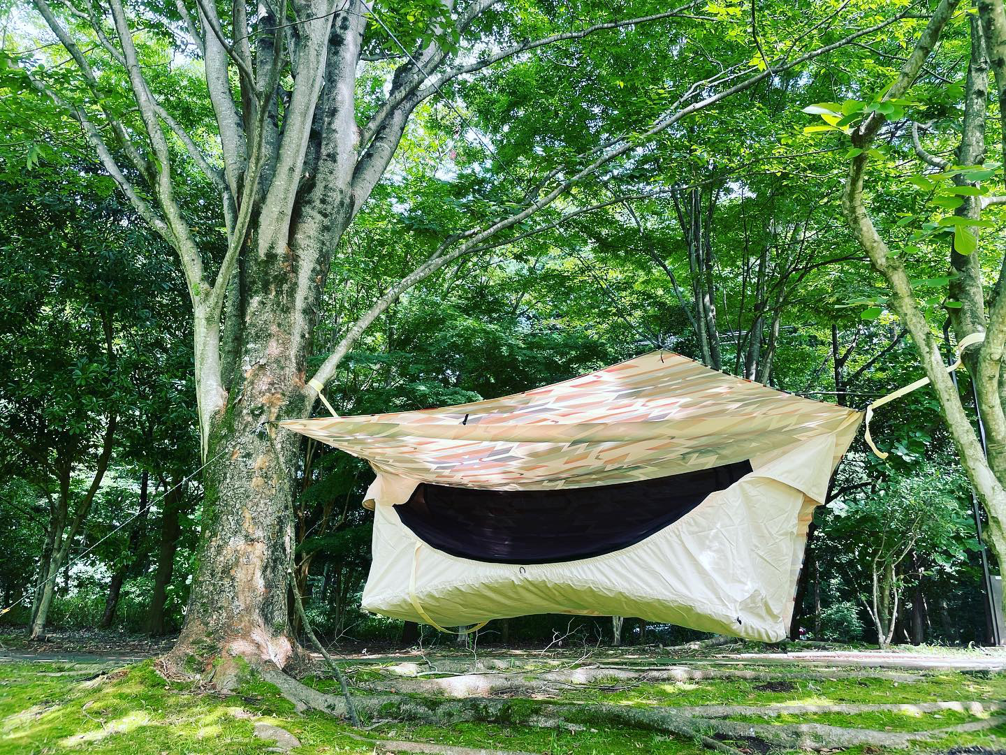 新品未使用)Haven Tent Safari ヘブンテント サファリ 新品未使用)Haven Tent Safari ヘブンテント サファリ