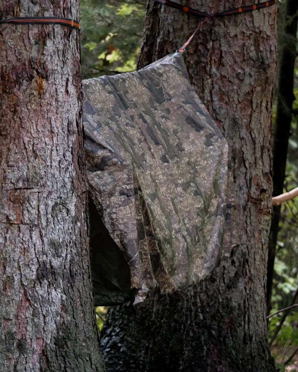 variant--Hammok Color:Forest Green+Rainfly:Realtree Timber Camo